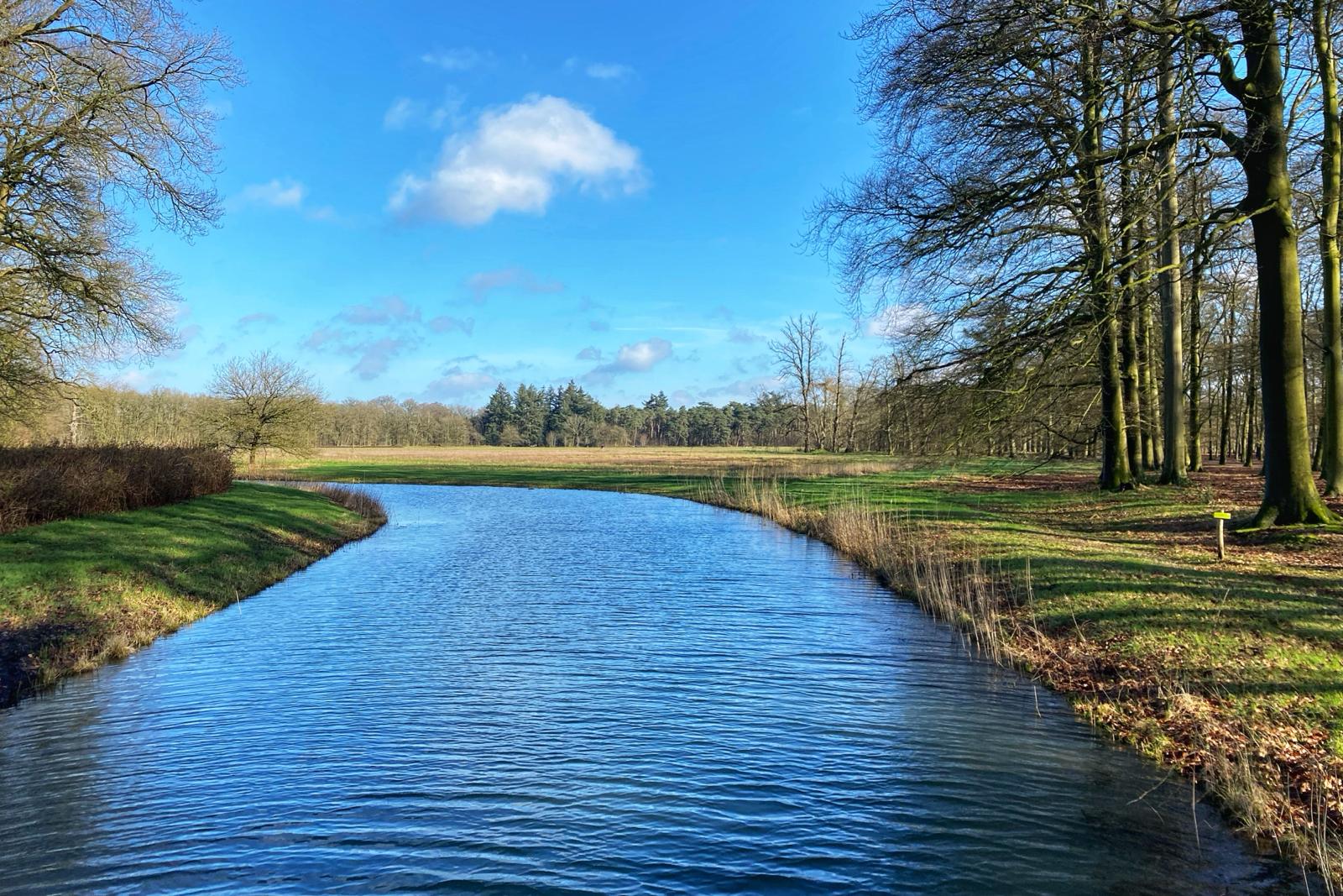 Blue Monday Run hardlopen met een psychische kwetsbaarheid